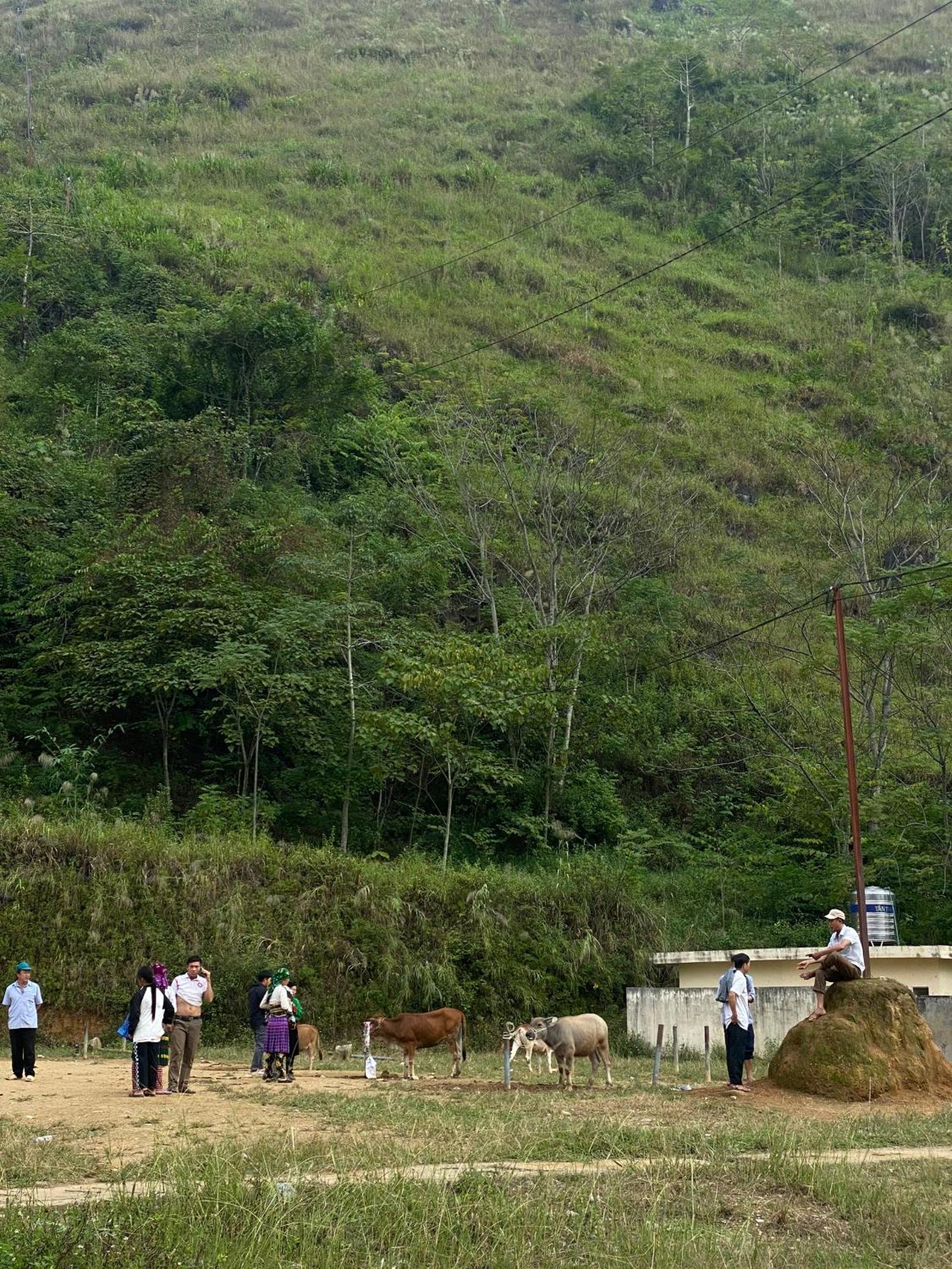 To Day Du Gia Village Lang Cac Экстерьер фото